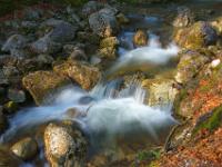 Schoßbach - Bachkaskade im Sonnenschein